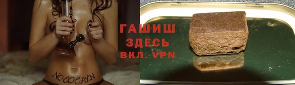 шишки Алзамай