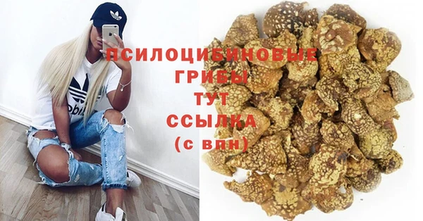шишки Алзамай