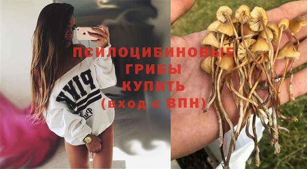 спиды Алексеевка