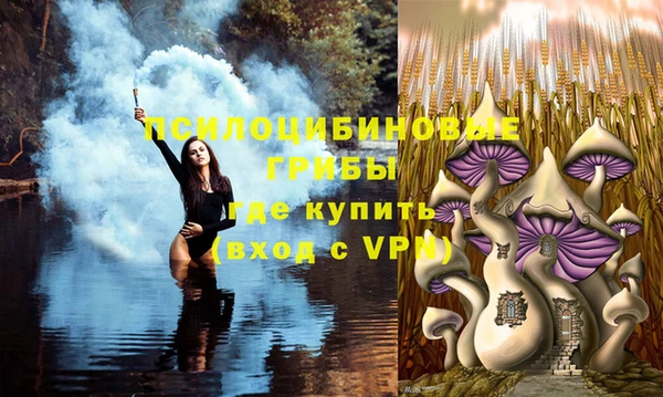 мдма Михайлов