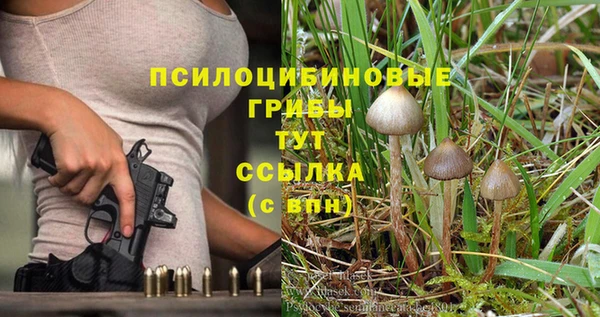 спиды Алексеевка
