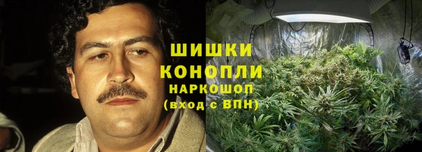 шишки Алзамай