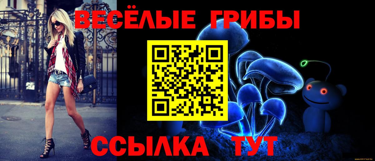 Красноярск  Галлюциногенные грибы Cubensis  Вход с VPN 